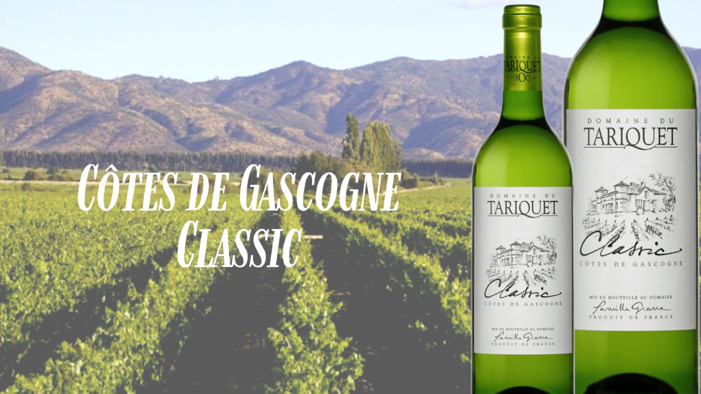 Gợi ý cách thưởng thức rượu vang trắng Domaine Du Tariquet Classic