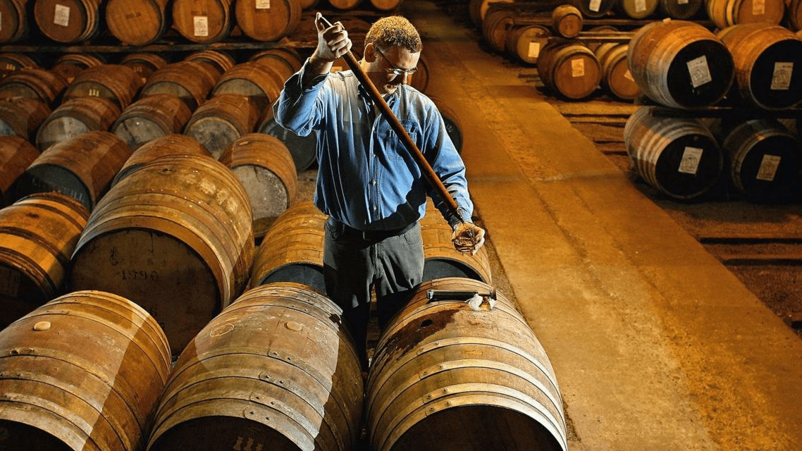 Sức hút mãnh liệt của rượu Macallan 15