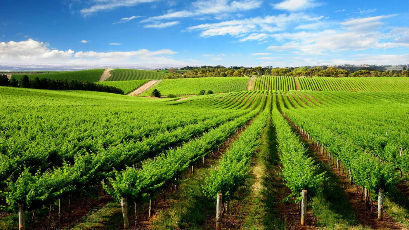 Đỡ Buồn Beer & Wine