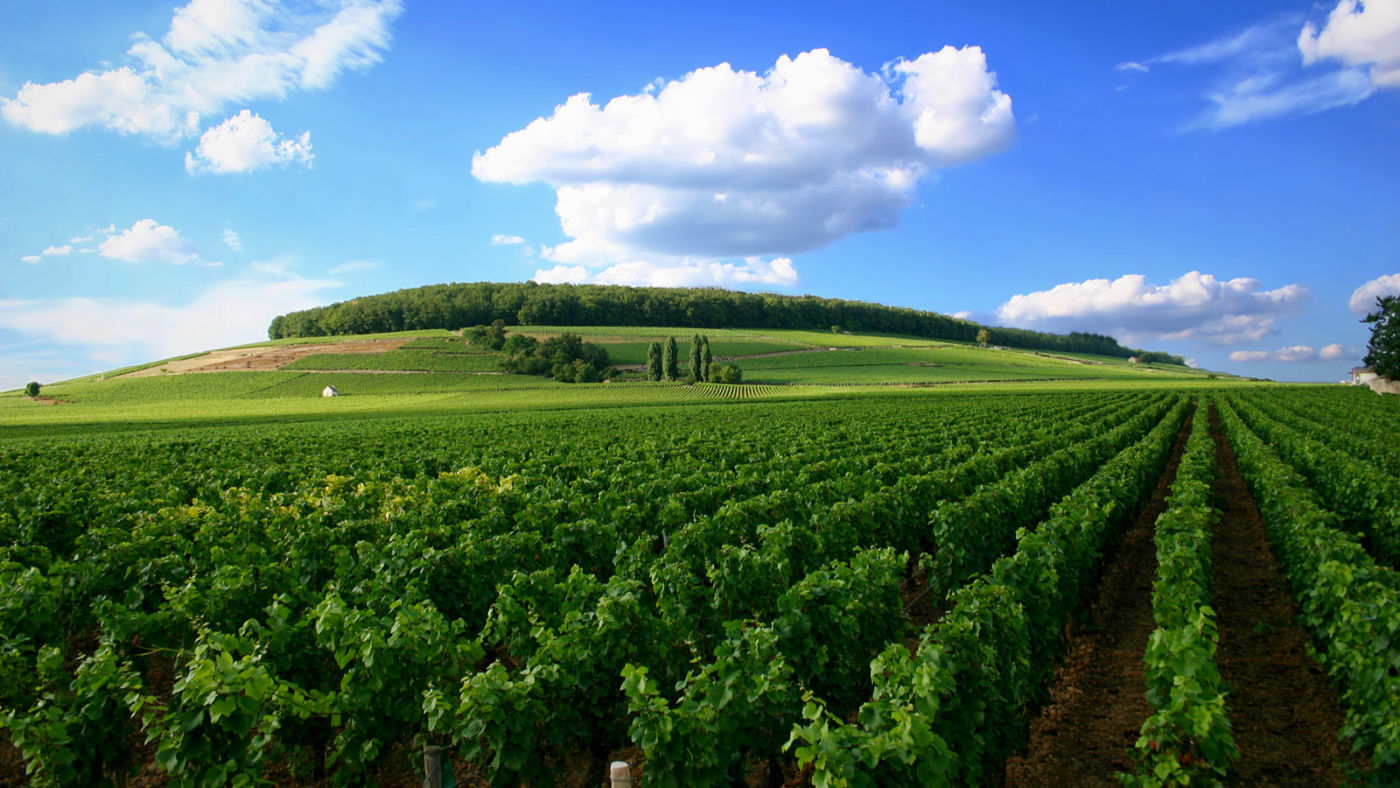 Đỡ Buồn Beer & Wine