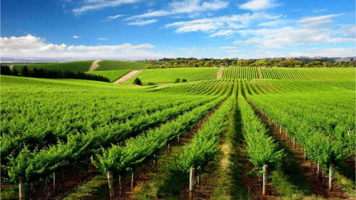 Đỡ Buồn Beer & Wine