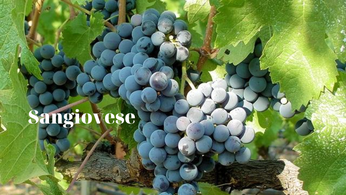 Đỡ Buồn Beer & Wine