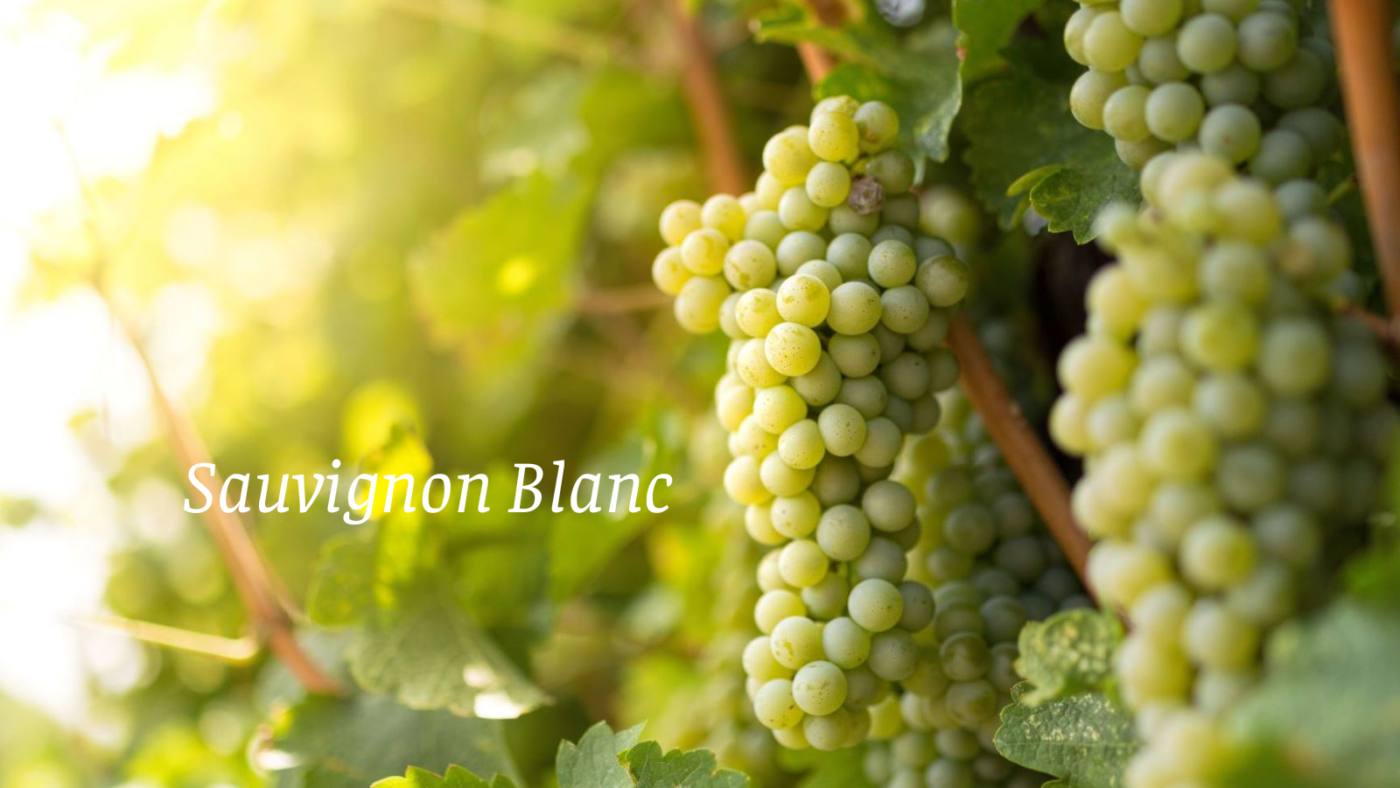 Đỡ Buồn Beer & Wine