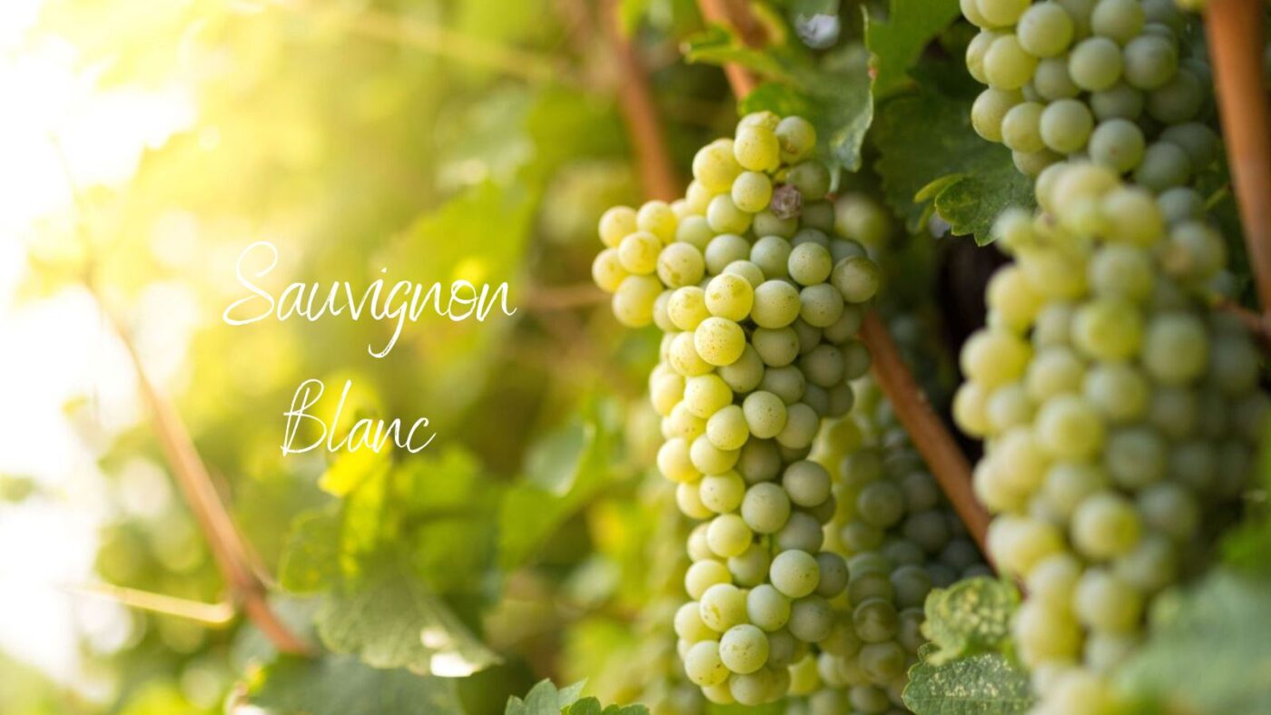 Đỡ Buồn Beer & Wine