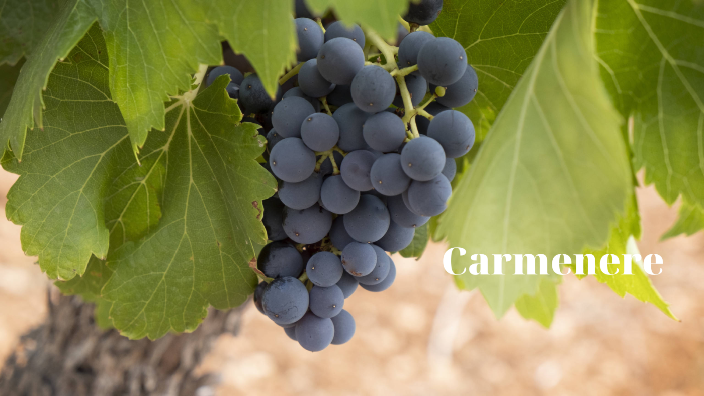 Đỡ Buồn Beer & Wine