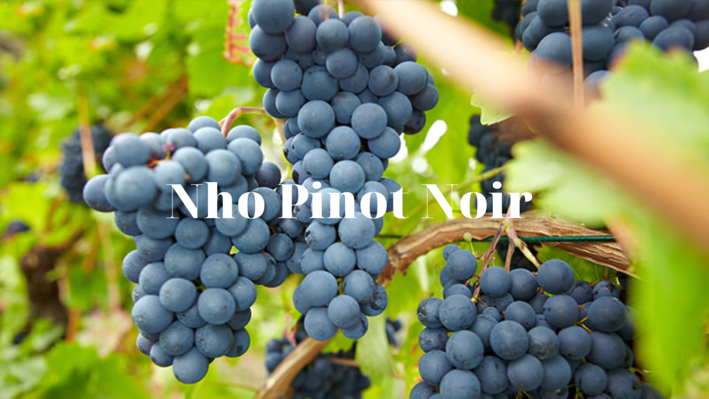 Đỡ Buồn Beer & Wine