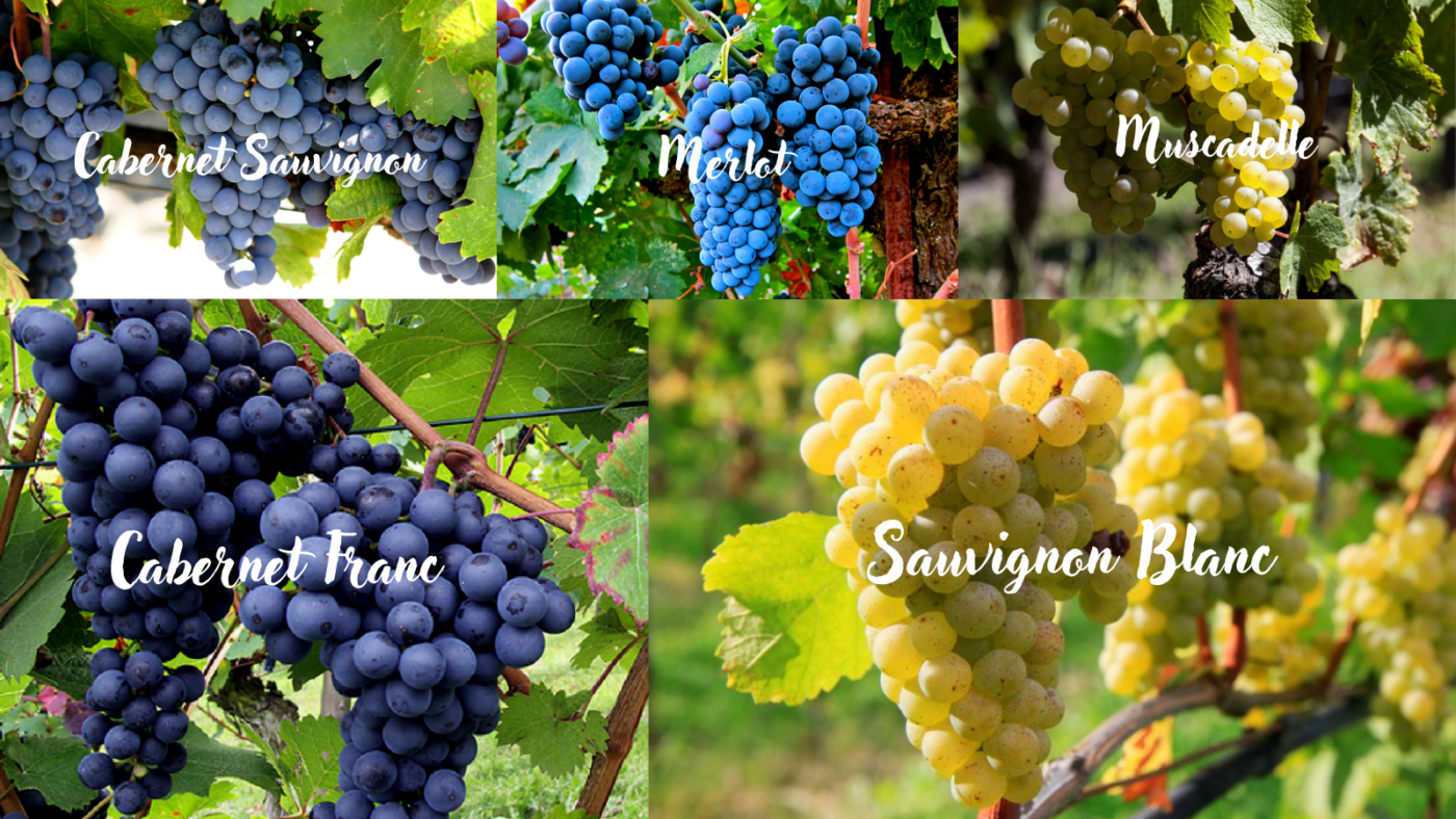 Đỡ Buồn Beer & Wine