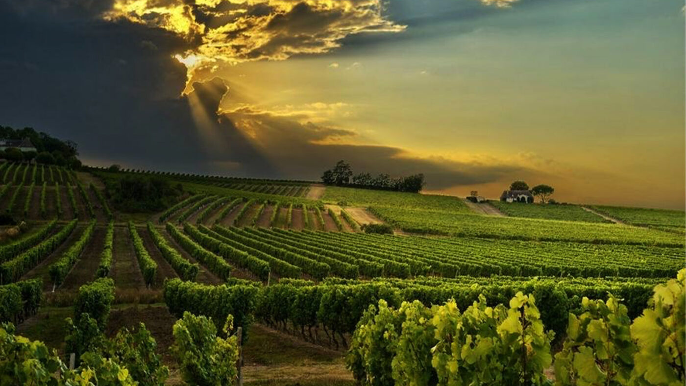 Đỡ Buồn Beer & Wine