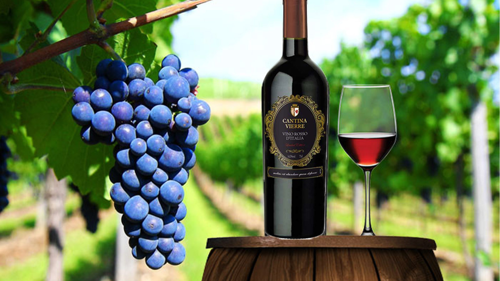 Đôi nét về nhà sản xuất của dòng rượu vang Cantina Vierre Vino Rosso D'italia