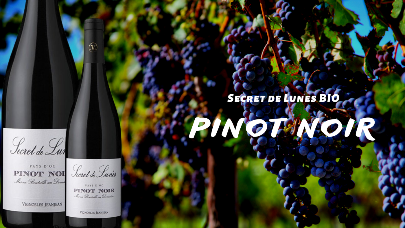 Giới thiệu về rượu vang đỏ Secret de Lunes BIO Pinot Noir