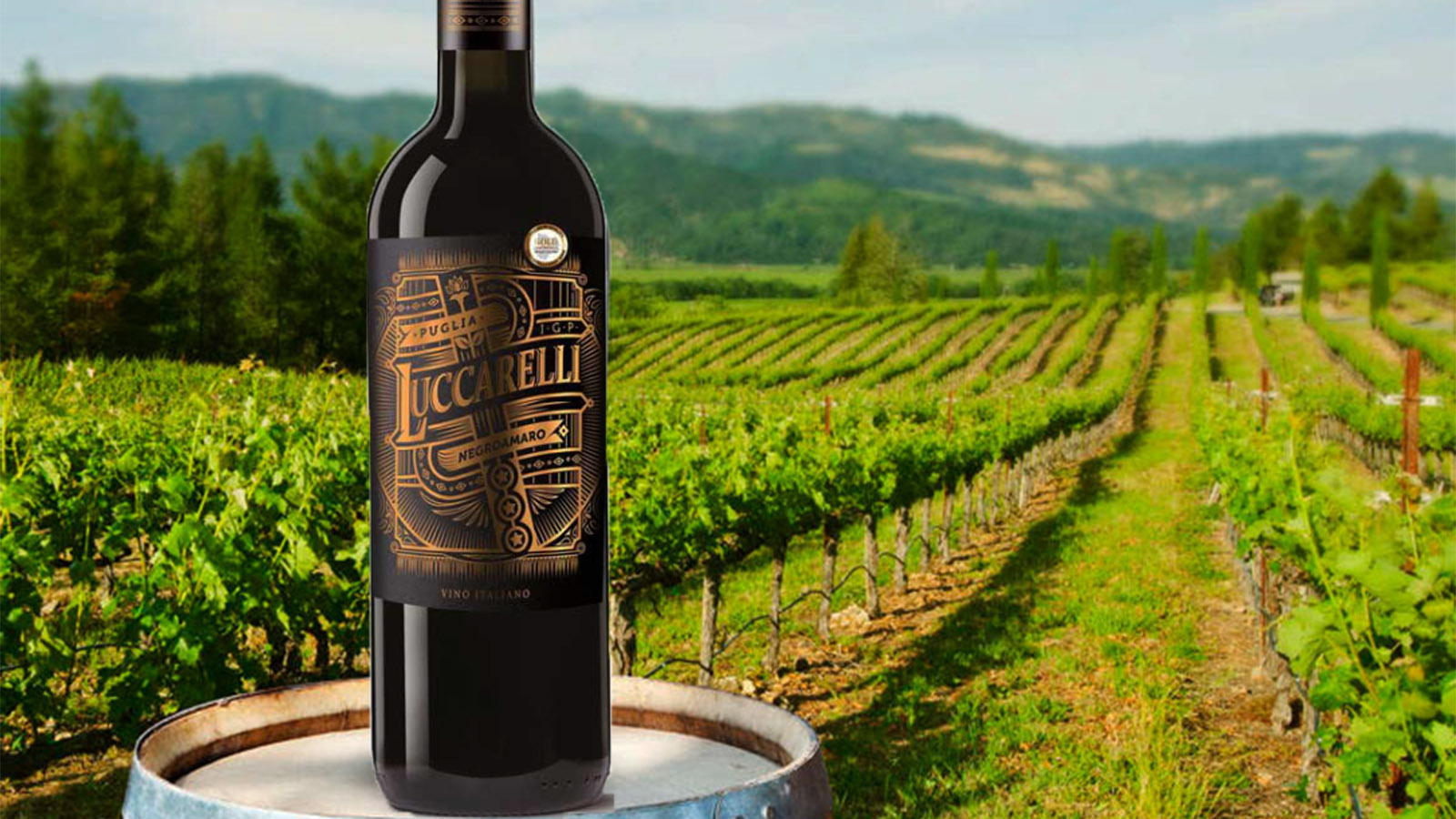 Quy trình sản xuất rượu vang Luccarelli Negroamaro Vintage Edition