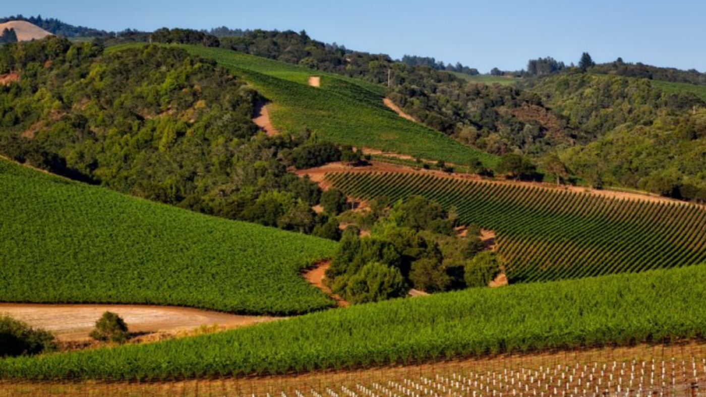 Đỡ Buồn Beer & Wine