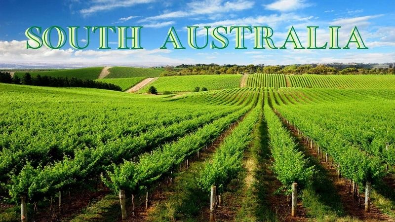 Đỡ Buồn Beer & Wine