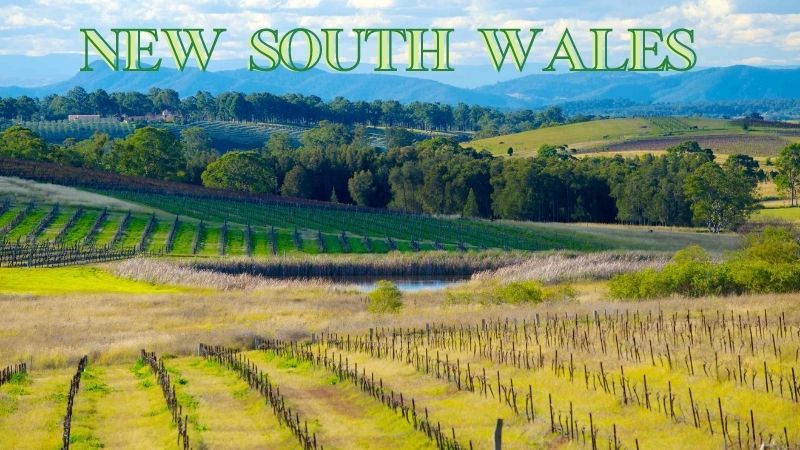 Đỡ Buồn Beer & Wine