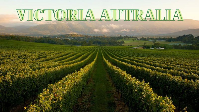 Đỡ Buồn Beer & Wine