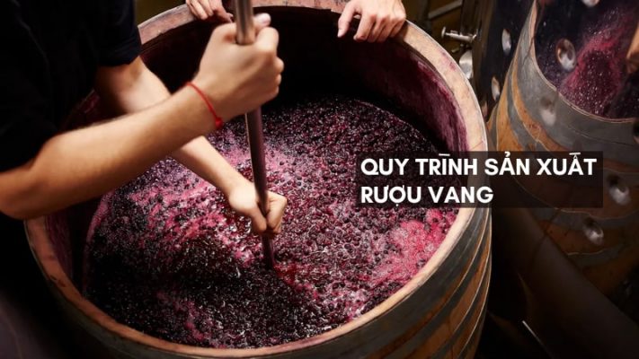 Quy trình sản xuất rượu vang.