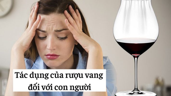 Tác dụng của rượu vang đối với con người.